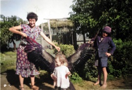 Wallis Photos/Betsywedgetail-Colorized-Enhanced.jpg