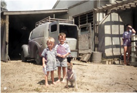 Wallis Photos/RobertTrevor0001-Colorized-Enhanced.jpg